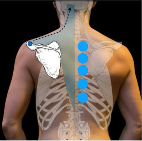 Flash Cupping Respiratory Support