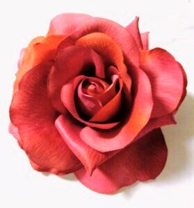 large red rose hair clip