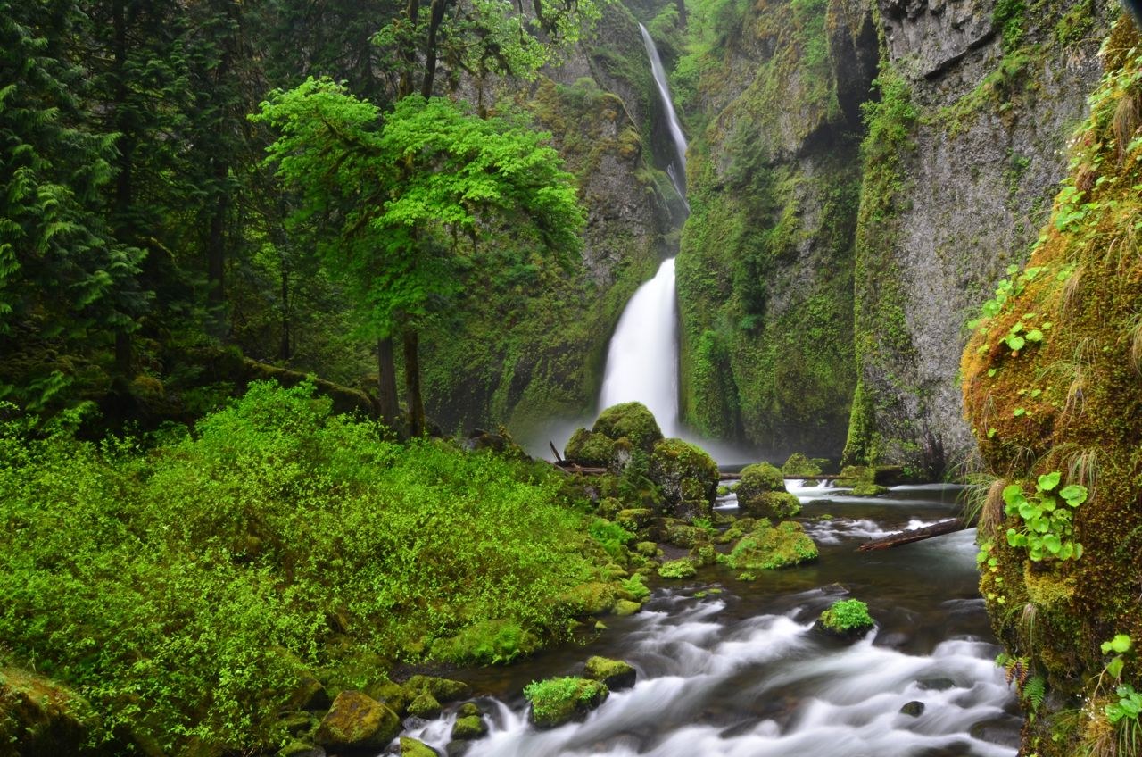10. Wahclella Falls Trail, Oregon