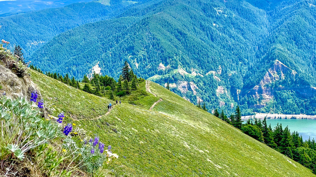 Dog Mountain Trail, Oregon