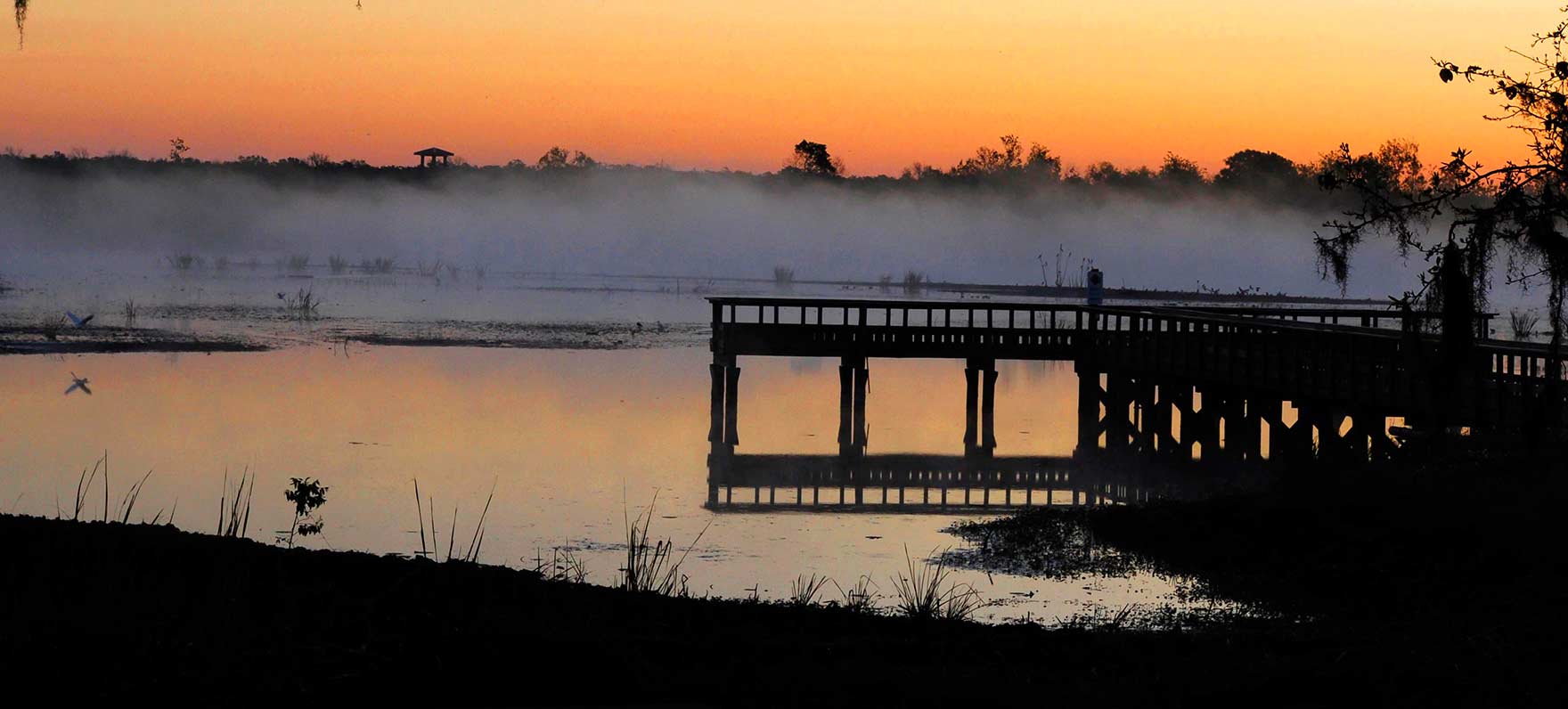 Brazos Bend State Park