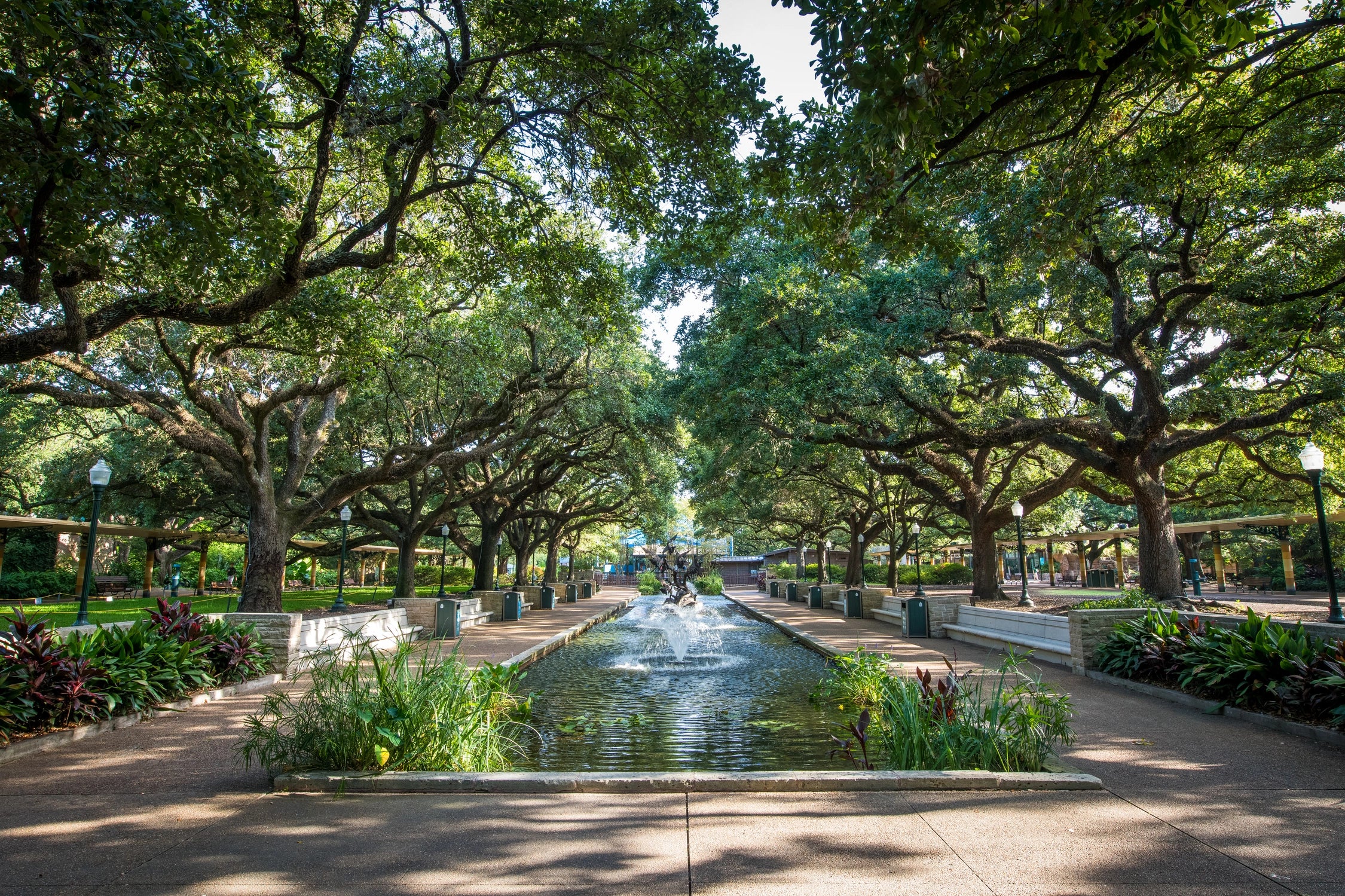 Houston Zoo