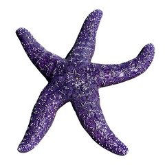purple-sea-star