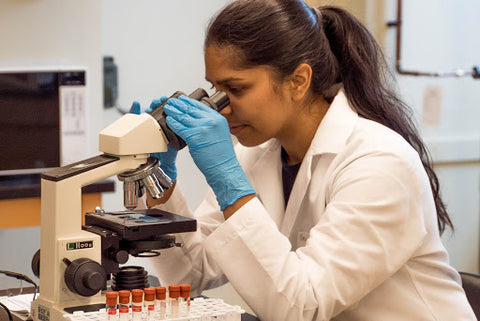 scientist looking through a microscope