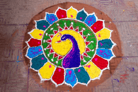 Peacock Rangoli art design created using vibrant colours
