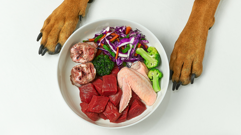 A raw diet with dog paws outside the bowl