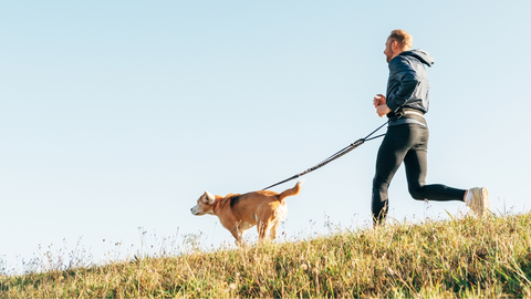 Dog running with a man