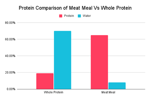 Protein Comparison Infographic