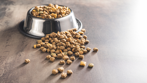 Freeze Dried Dog Food