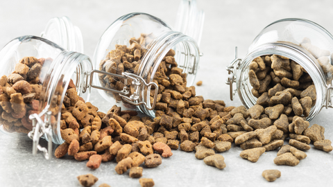 Dog Food Brands to Buy Vs. Avoid – Petzyo