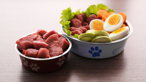 Two dog bowls with fresh foods and raw meet for a weight-loss diet