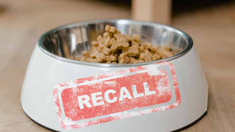 A bowl of kibble with recall on it