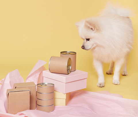 A Pomeranian dog looking at different cans of food