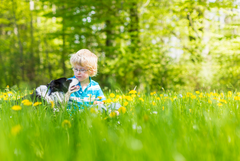 a dog and child sit in tall grass