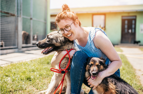 A dog food company employee volunteering at a dog shelter