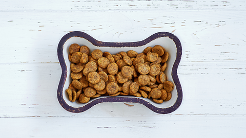A bone-shaped dog bowl with a free sample of dry food in it