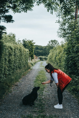 A dog owner using treats for dogs to train her pooch