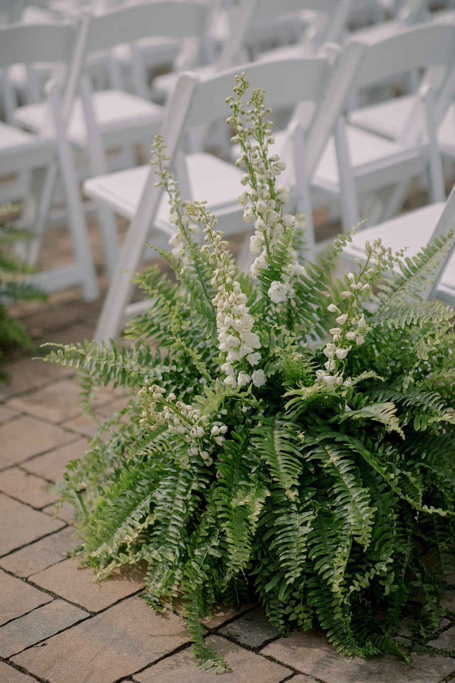 A large green fern plant with white florals accenting.