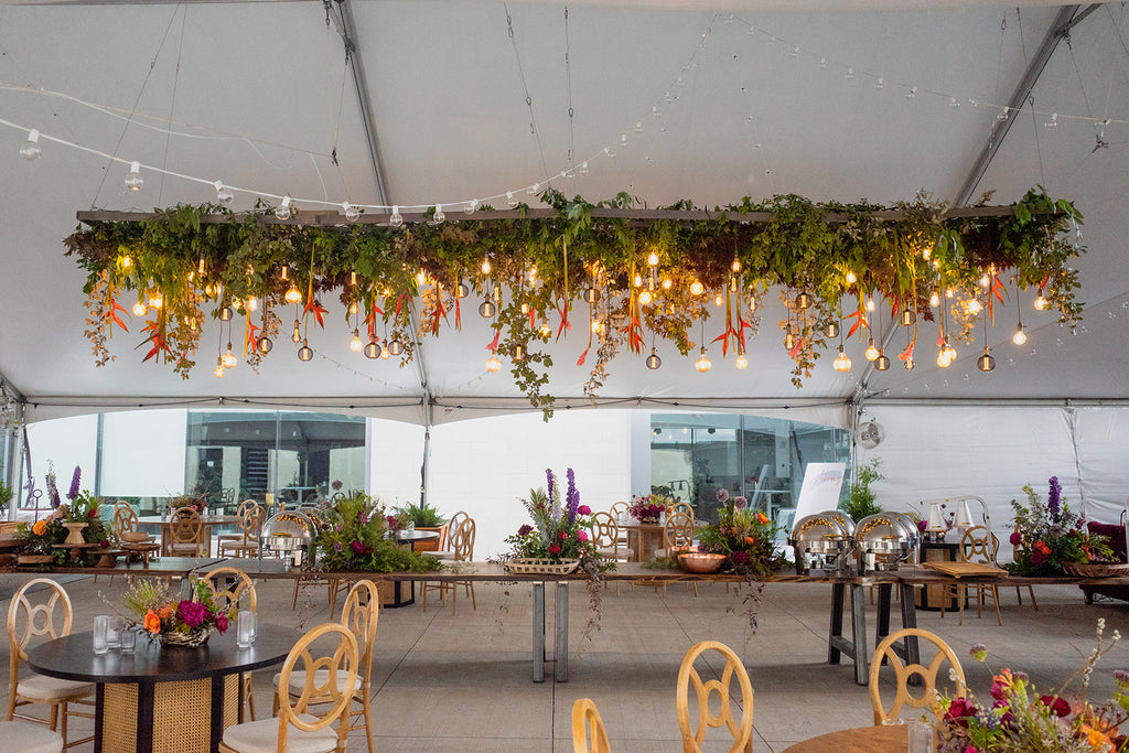 buffet table with hanging greens and lights above 