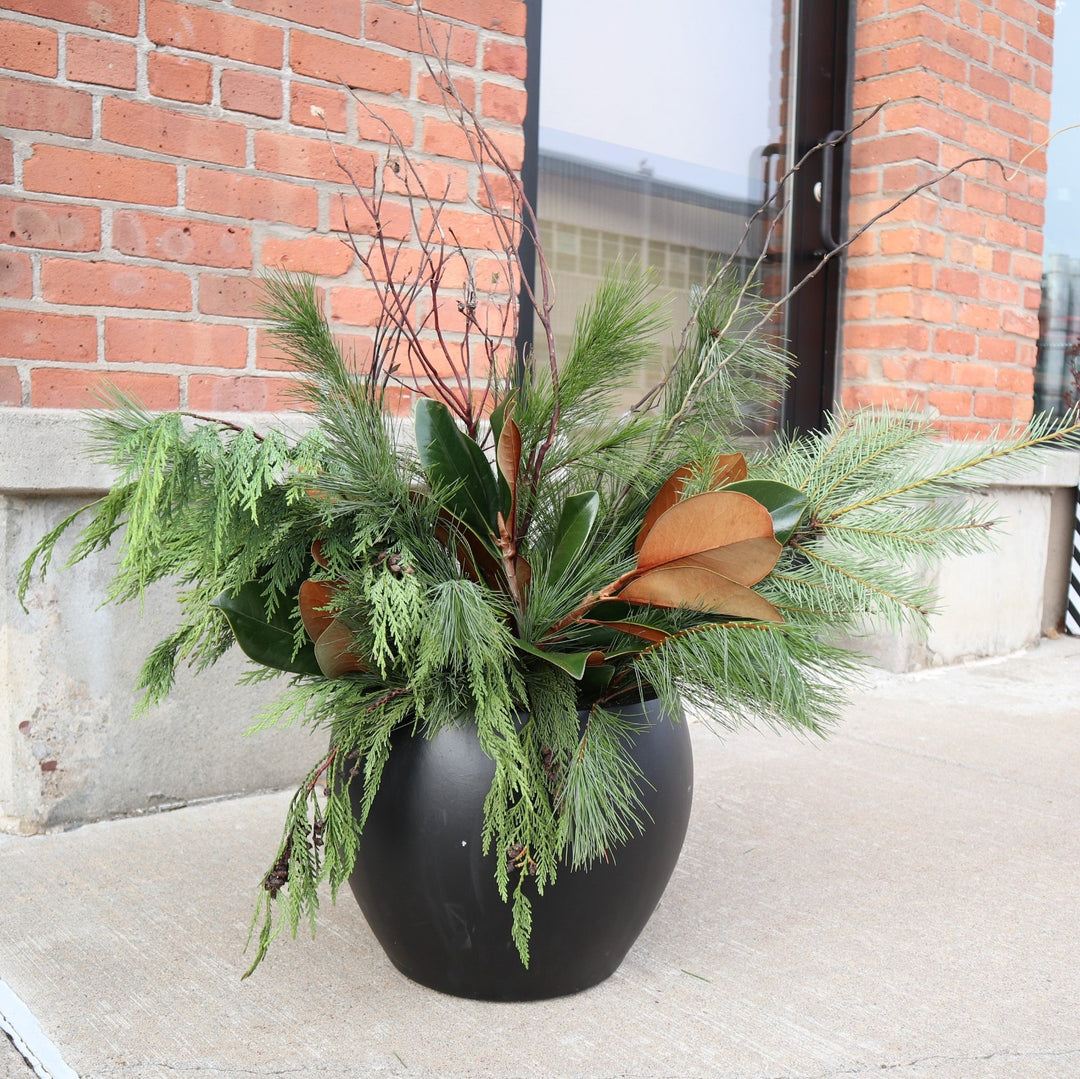 Winter Greenery Bunches, Winter Green Delivery
