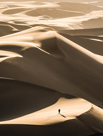 hot golden sands - Rub al Khali desert
