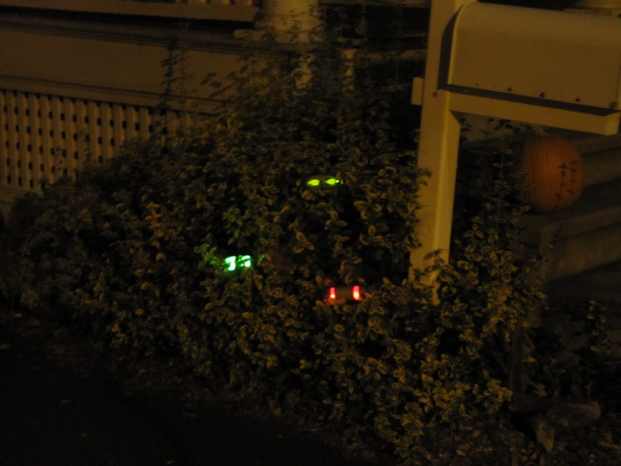 Spooky Eyes in the Bushes