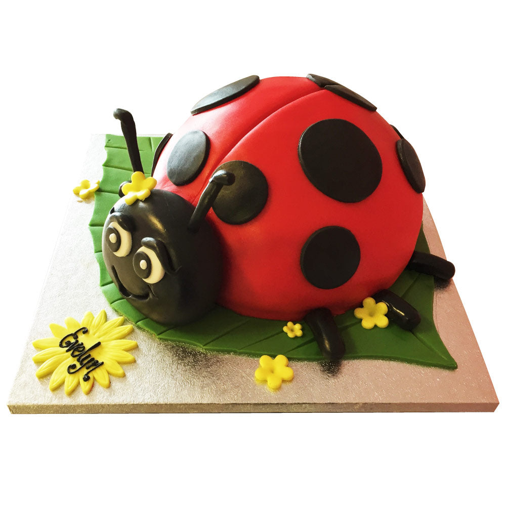 Ladybird Cake - Buy Online, Free UK Delivery – New Cakes