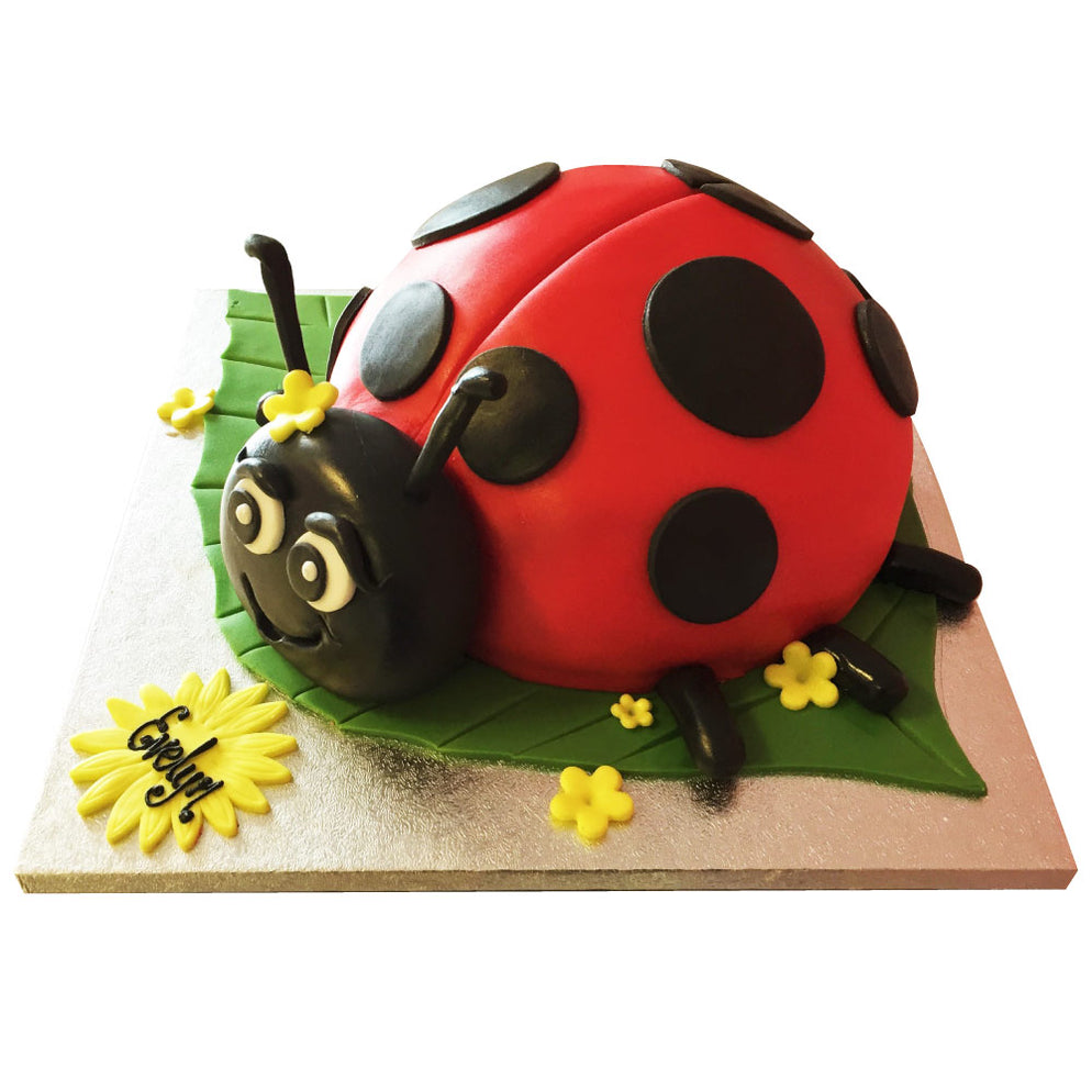 Ladybird Cake - Buy Online, Free UK Delivery — New Cakes