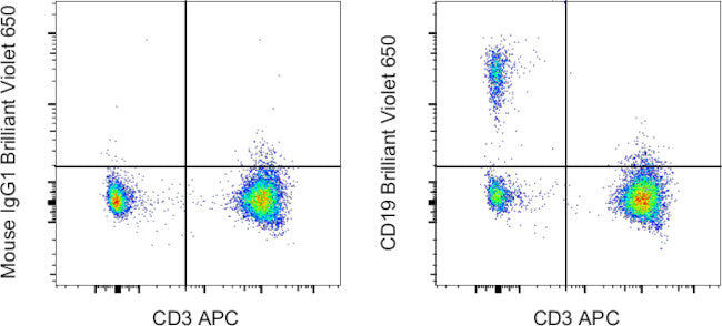 CD19 Monoclonal Antibody (SJ25C1), Brilliant Violet™ 650