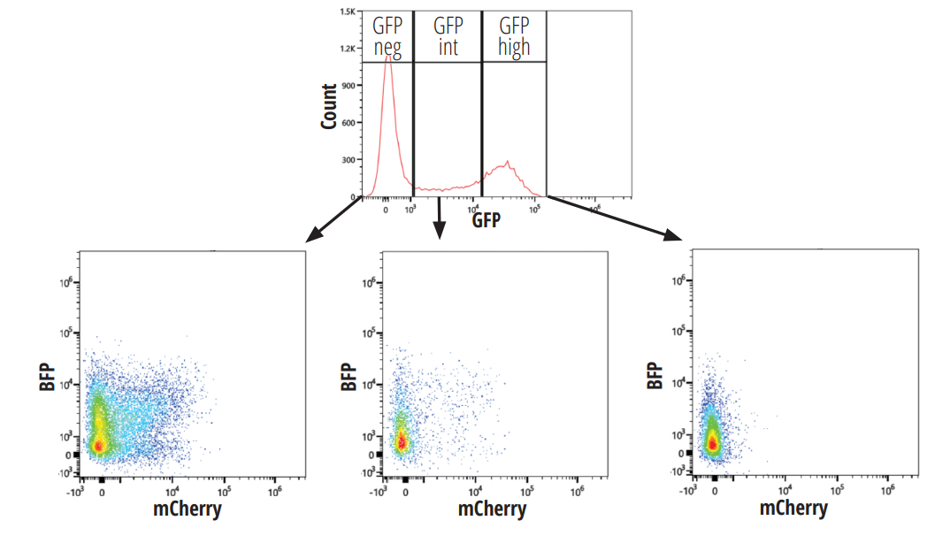 spectral flow cytometry