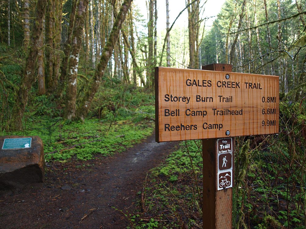Trails Gales Creek Portland Running Company