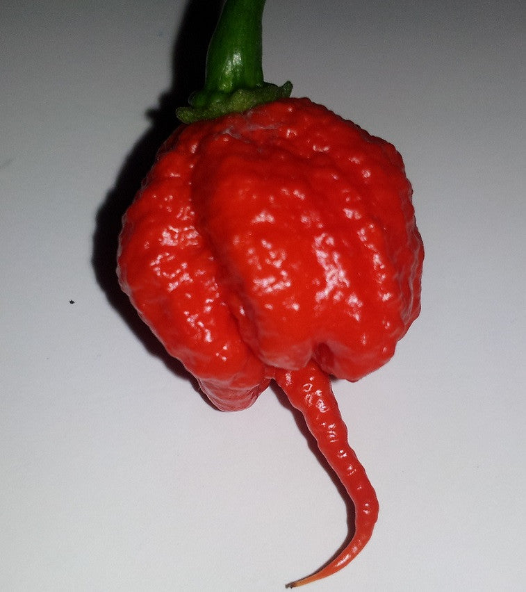 reaper pepper scoville