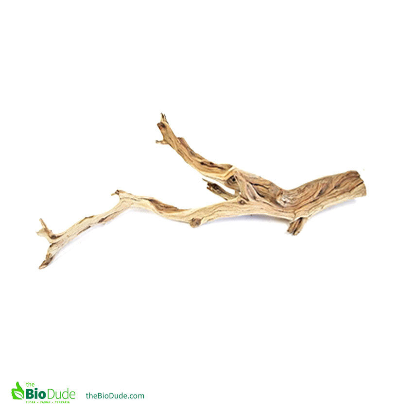 wood for reptile enclosures