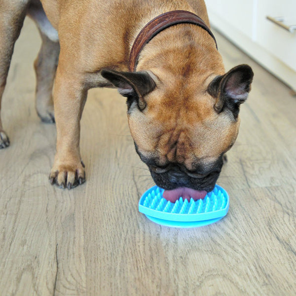 are dogs tongues really clean