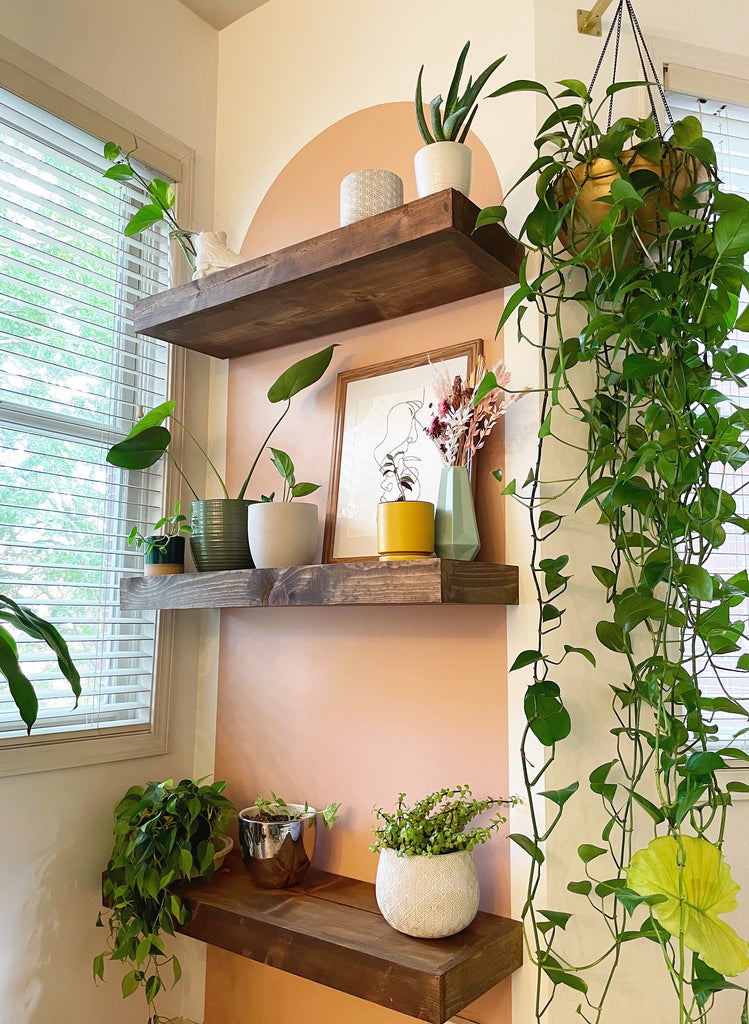 Lindzi's shelf styling. She has lots of plants on top of 3 wooden floating shelves against the backdrop of a peach colored painted arch.