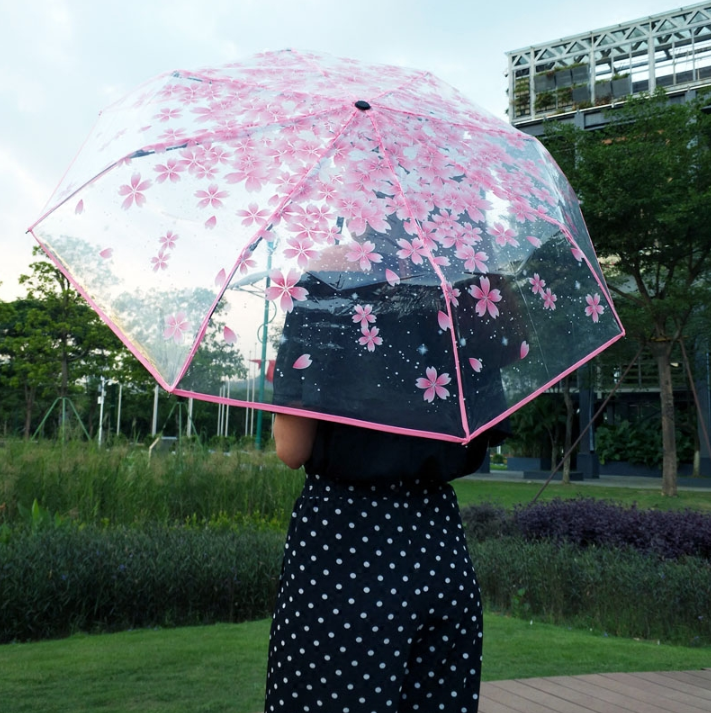 transparent umbrella