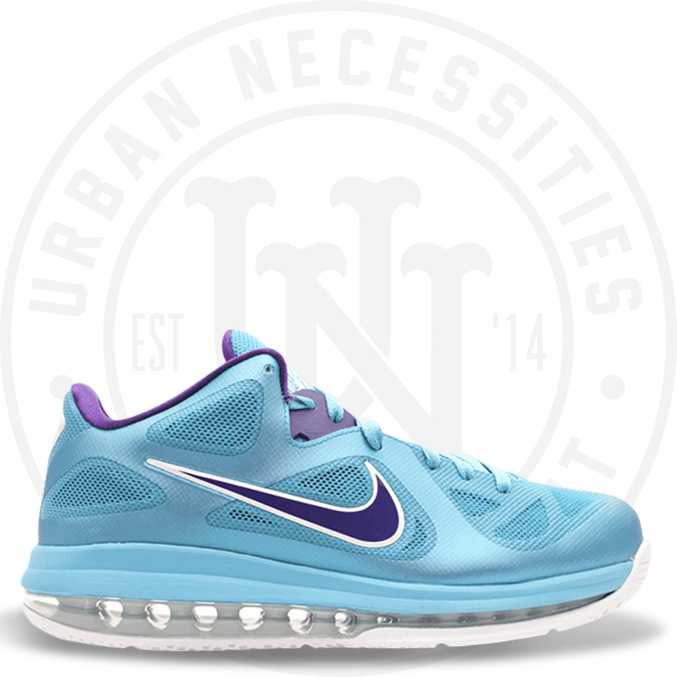 lebron 9 low hornets