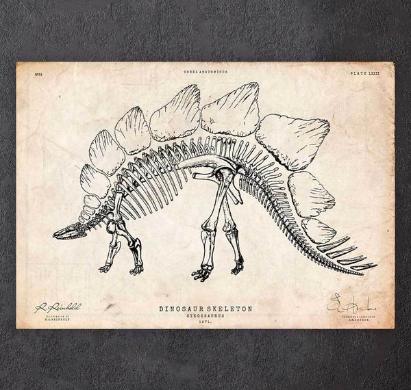 Malvorlagen Dinosaurier - Urzeit-Tiere, Dinos - Ausmalbilder
