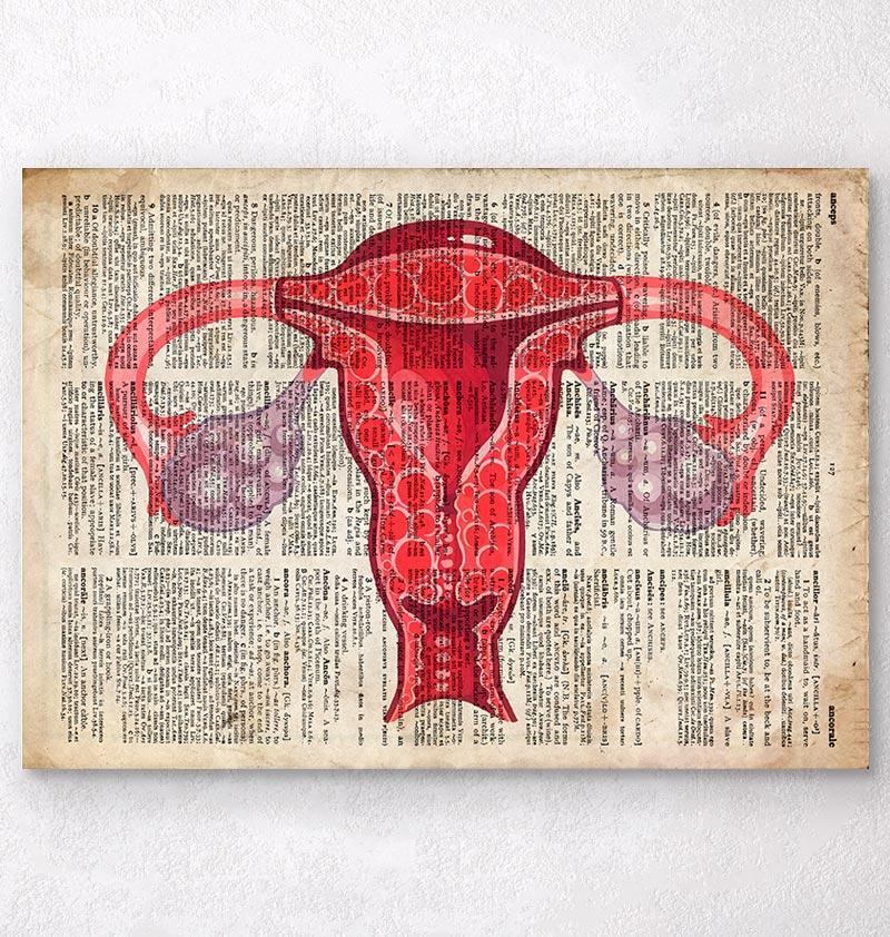 Uterus anatomy art - Dictionary print – Codex Anatomicus