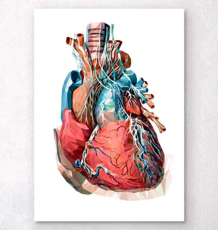 Heart Anatomy Anatomy Art Codex Anatomicus