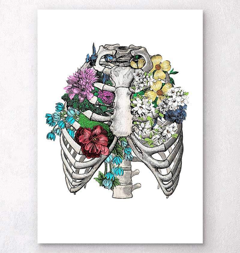 Rib cage with flowers poster - Codex Anatomicus