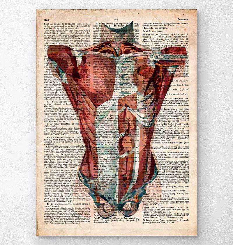 Human torso anatomy - Old dictionary page - Codex Anatomicus