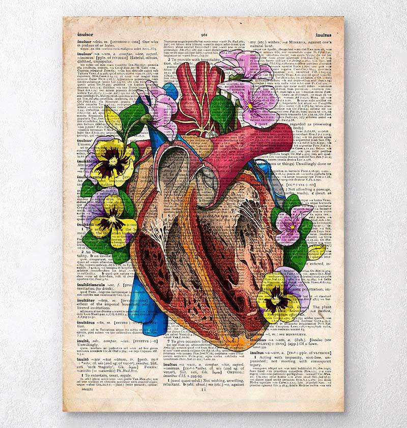 Heart Anatomy Dictionary Art Print Codex Anatomicus 4422