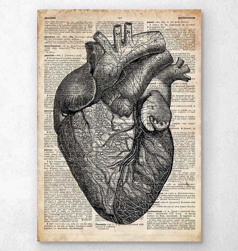 Heart Anatomy Medical Art Print Dictionary Page Codex Anatomicus 7528