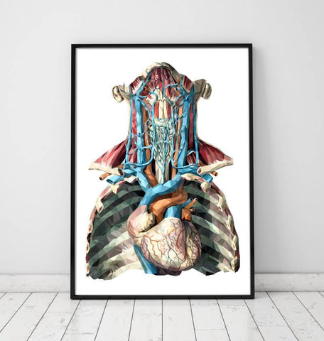 Bestsellers Watercolor Anatomy Art Set of 3 - Codex Anatomicus