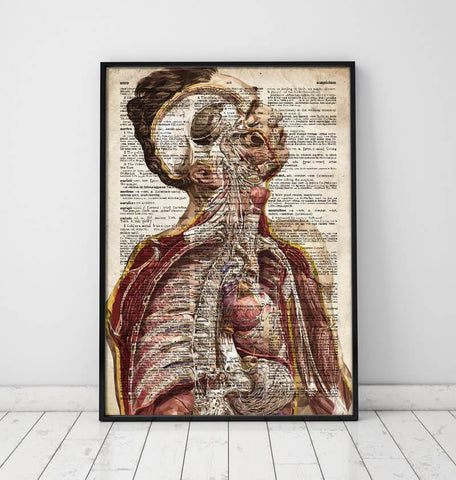 Bestsellers Watercolor Anatomy Art Set of 3 - Codex Anatomicus