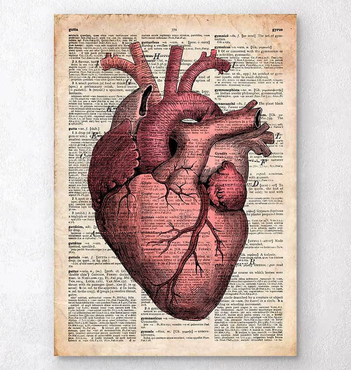 Heart Anatomy Anatomy Art Codex Anatomicus
