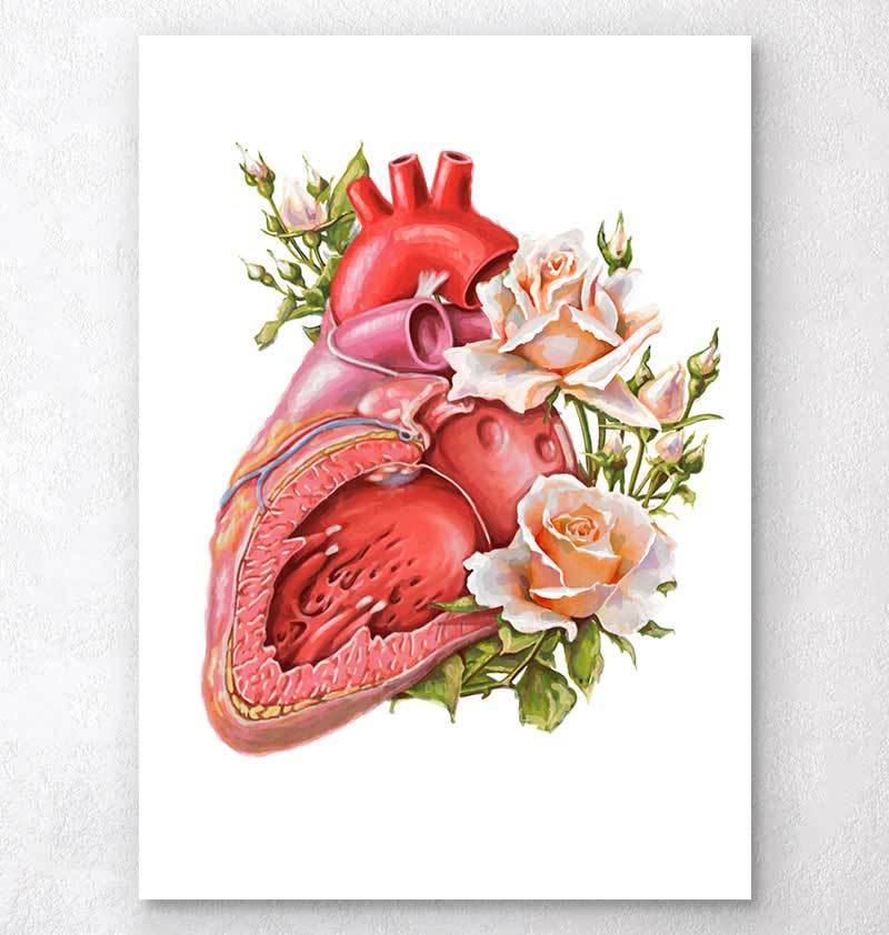 Floral heart anatomy art print - Codex Anatomicus