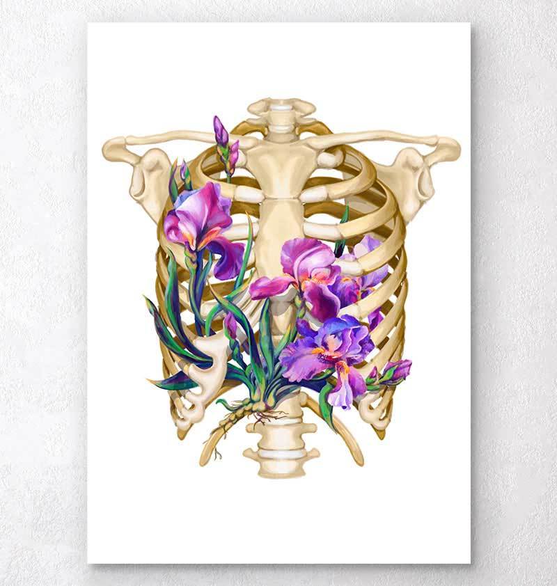 Floral rib cage anatomy art print - Codex Anatomicus