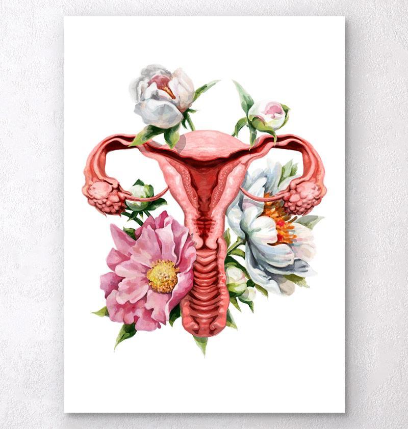 Floral uterus anatomy art print - Codex Anatomicus